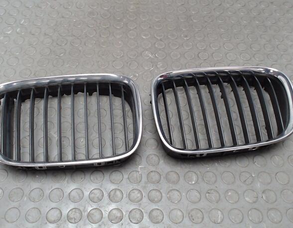 Radiator Grille BMW 5er (E39)