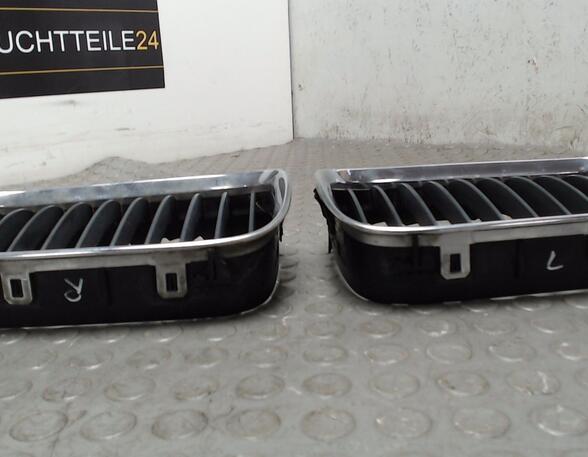 Radiator Grille BMW 5er (E39)