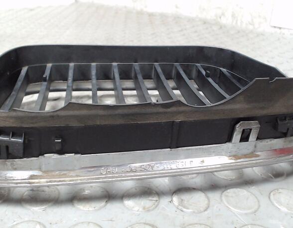 Radiator Grille BMW 5er (E39)