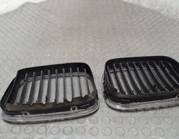 Radiator Grille BMW 5er (E39)