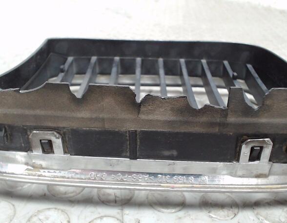 Radiator Grille BMW 5er (E39)