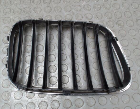 Radiator Grille BMW X5 (E53)