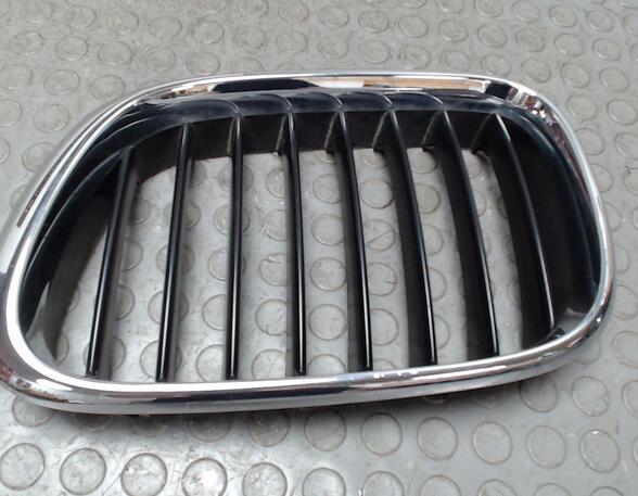 Radiator Grille BMW X5 (E53)