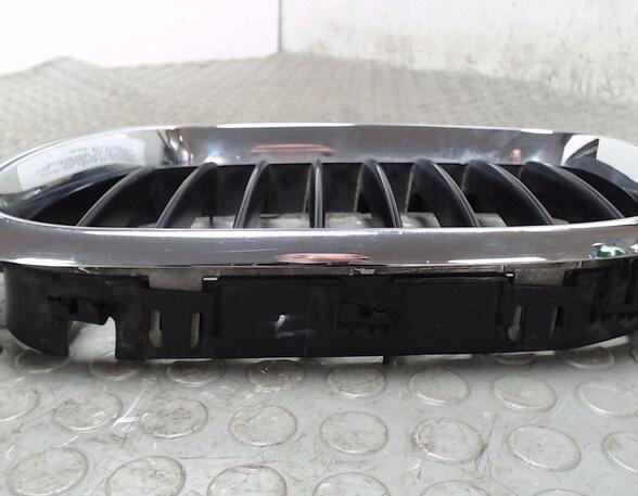 Radiator Grille BMW X5 (E53)