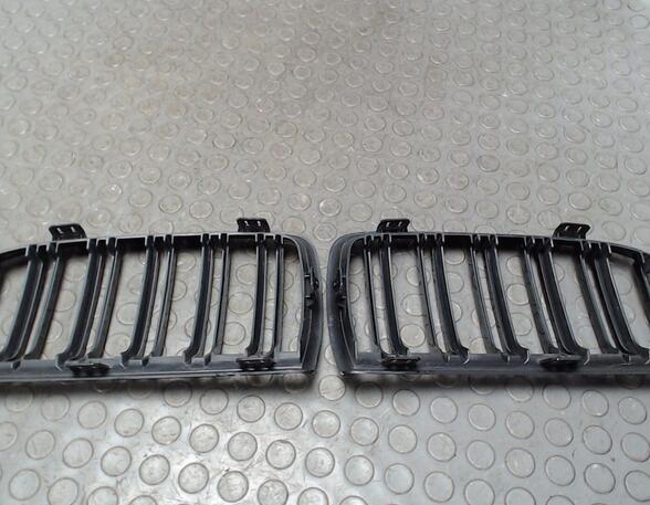 Radiator Grille BMW 3er (E90)