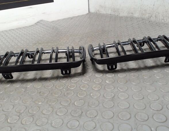 Radiator Grille BMW 3er (E90)