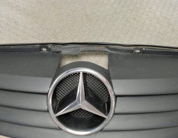 Radiator Grille MERCEDES-BENZ Vaneo (414)