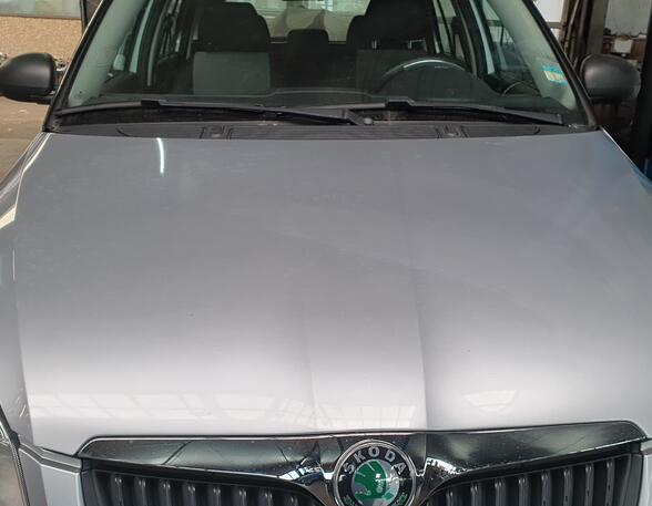 Radiateurgrille SKODA FABIA II Combi (545)