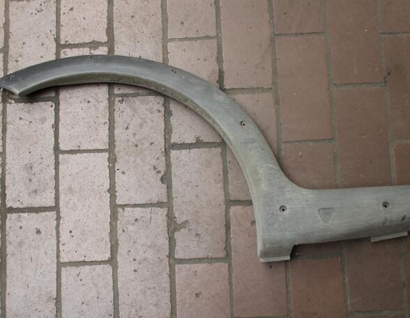 Trim Strip Sidewall FIAT STRADA Pickup (178_)