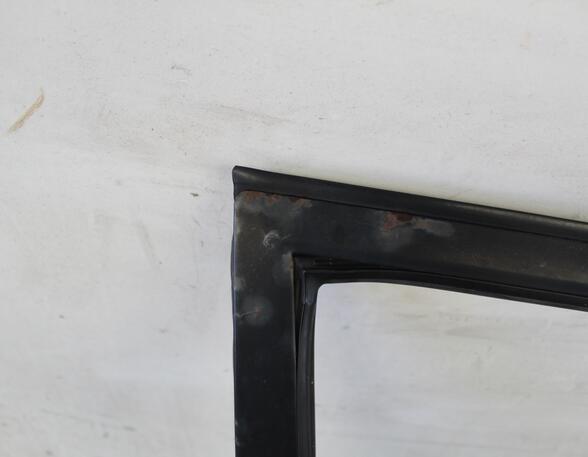 Trim Strip Door TOYOTA Corolla Compact (E9)