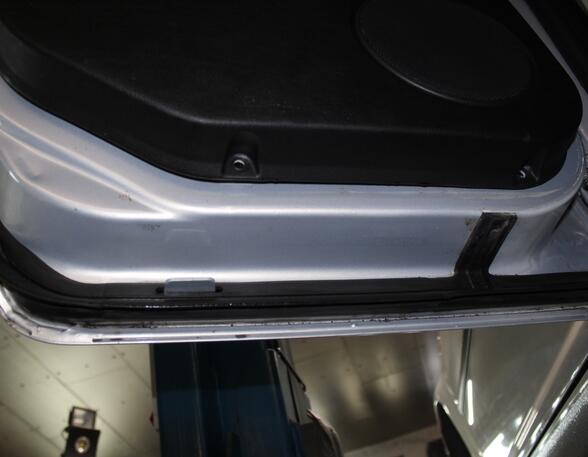 Trim Strip Door VW Golf IV (1J1)