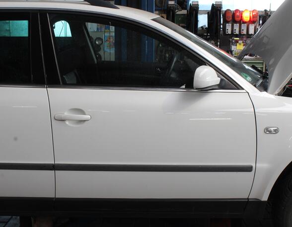 Trim Strip Door VW Passat Variant (3B6)