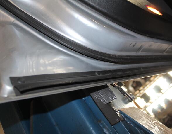 Trim Strip Door NISSAN Primera Kombi (WP12)