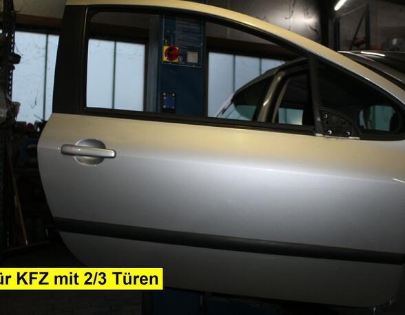 Trim Strip Door PEUGEOT 307 (3A/C)