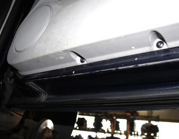 Trim Strip Door VW Golf IV (1J1)