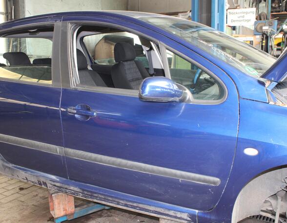 Trim Strip Door PEUGEOT 307 (3A/C)