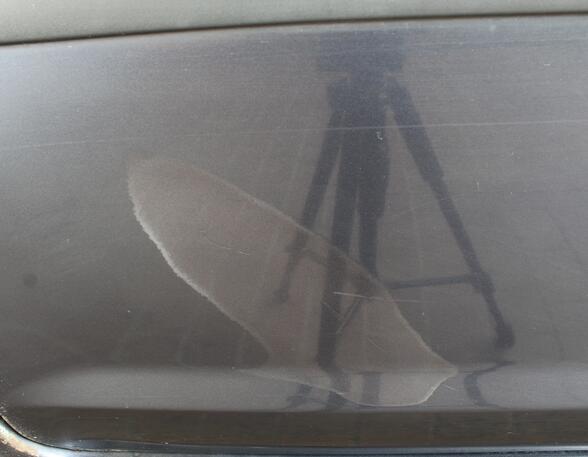 Trim Strip Door FORD C-Max (DM2), FORD Focus C-Max (--)