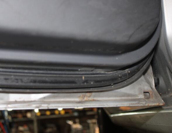 Trim Strip Door MITSUBISHI SPACE STAR MPV (DG_A)