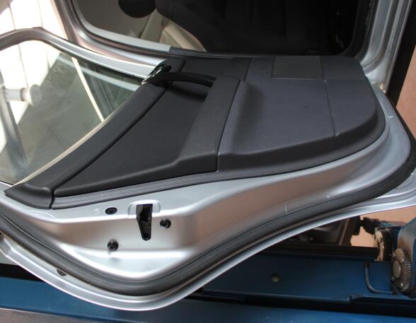 Trim Strip Door VW POLO (9N_)