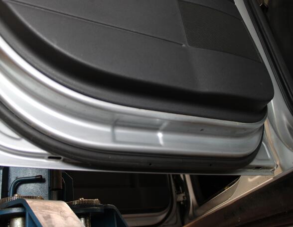 Trim Strip Door VW POLO (9N_)