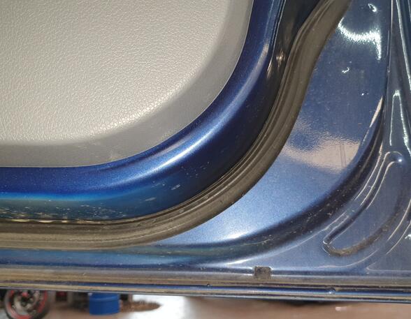 Trim Strip Door FORD C-MAX (DM2), FORD FOCUS C-MAX (DM2)