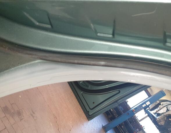 Trim Strip Door MERCEDES-BENZ A-CLASS (W169)