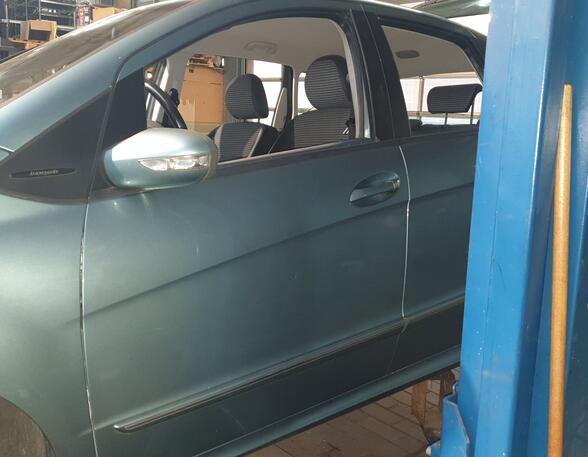 Trim Strip Door MERCEDES-BENZ A-CLASS (W169)