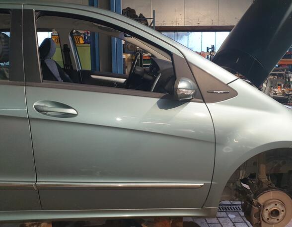 Trim Strip Door MERCEDES-BENZ A-CLASS (W169)