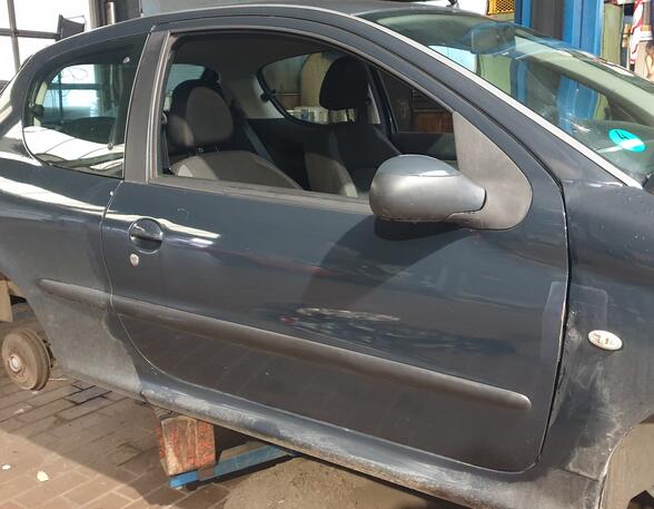 Trim Strip Door PEUGEOT 206+ (2L_, 2M_)