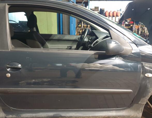 Trim Strip Door PEUGEOT 206+ (2L_, 2M_)