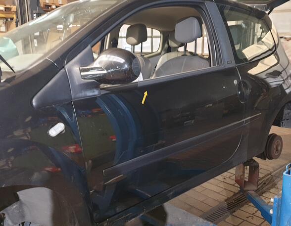 Trim Strip Door RENAULT TWINGO II (CN0_)