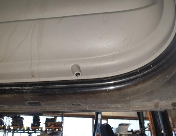 Trim Strip Door RENAULT TWINGO II (CN0_)