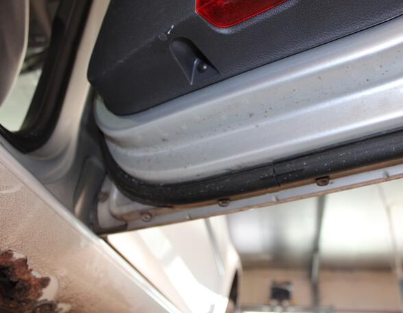 Rear Door VW GOLF V (1K1)