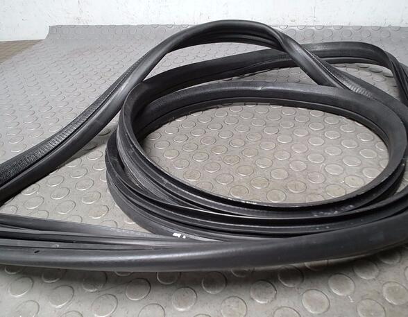 Door Seal PEUGEOT 206+ (2L_, 2M_)