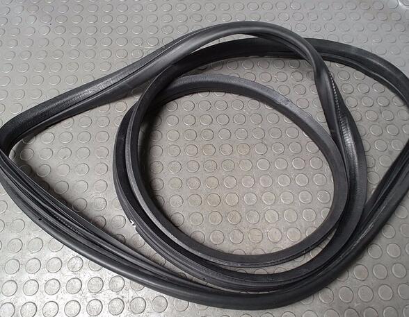 Door Seal PEUGEOT 206+ (2L_, 2M_)