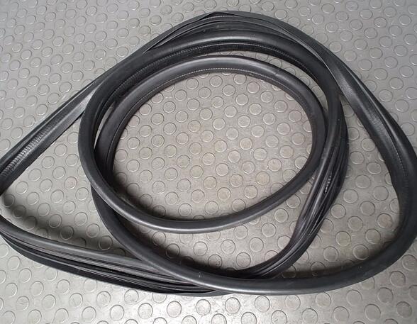 Door Seal PEUGEOT 206+ (2L_, 2M_)