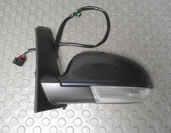 Control Throttle Blade VW Golf Plus (521, 5M1)