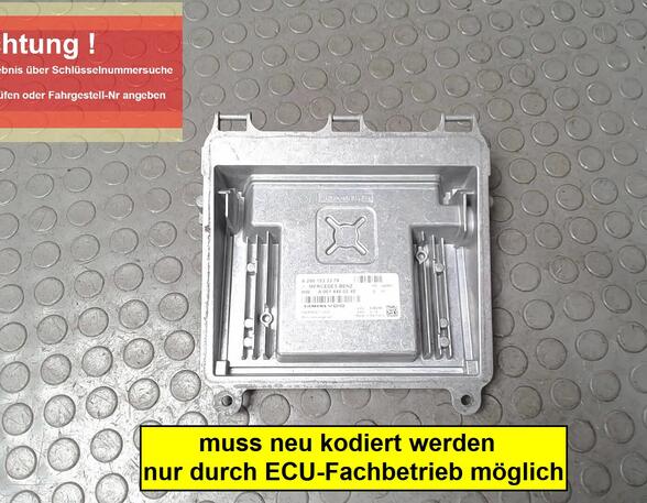 Fuel Injection Control Unit MERCEDES-BENZ A-Klasse (W169)