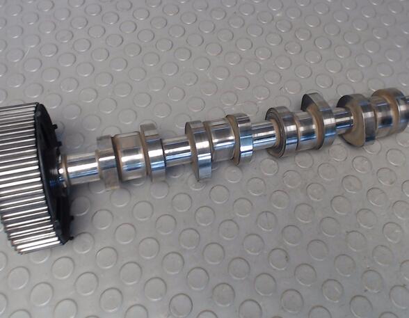 Camshaft SEAT Alhambra (7V8, 7V9)