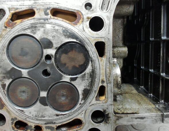 Cylinder Head AUDI A6 Avant (4F5, C6)