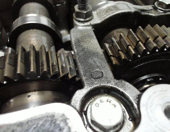 Cylinder Head AUDI A6 Avant (4F5, C6)