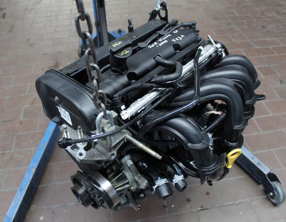 Bare Engine FORD Fiesta V (JD, JH)