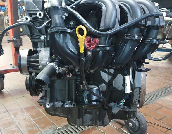 MOTOR FXJA (Motor) Ford Fiesta Benzin (JH1/JD3) 1388 ccm 59 KW 2007>2008