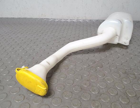 Window Cleaning Water Pump RENAULT Twingo II (CN0)