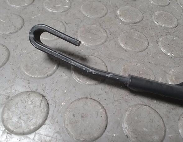 Wiper Arm AUDI A3 (8L1)