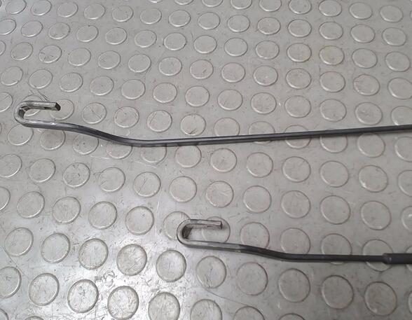 Wiper Arm RENAULT MEGANE Scenic (JA0/1_)