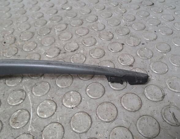 Wiper Arm RENAULT TWINGO I (C06_)