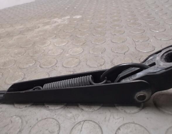 Wiper Arm FORD C-MAX (DM2), FORD FOCUS C-MAX (DM2)