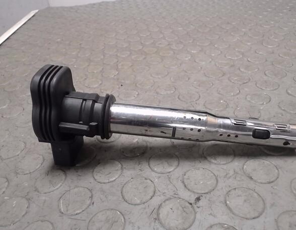 Ignition Coil VW GOLF PLUS (5M1, 521)