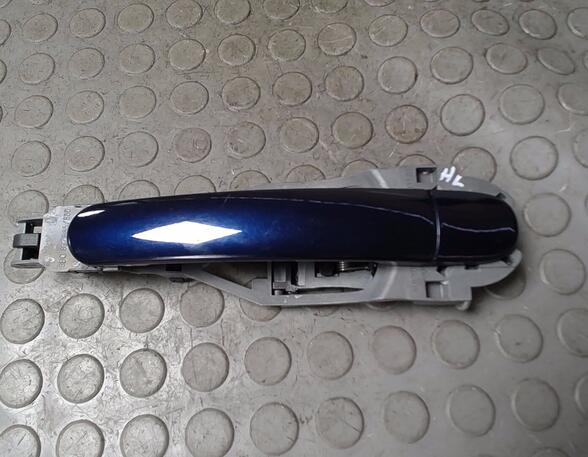 Door light bulb VW PASSAT Variant (3B5)